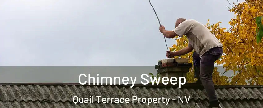 Chimney Sweep Quail Terrace Property - NV