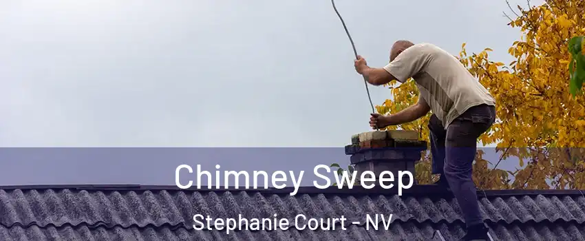 Chimney Sweep Stephanie Court - NV