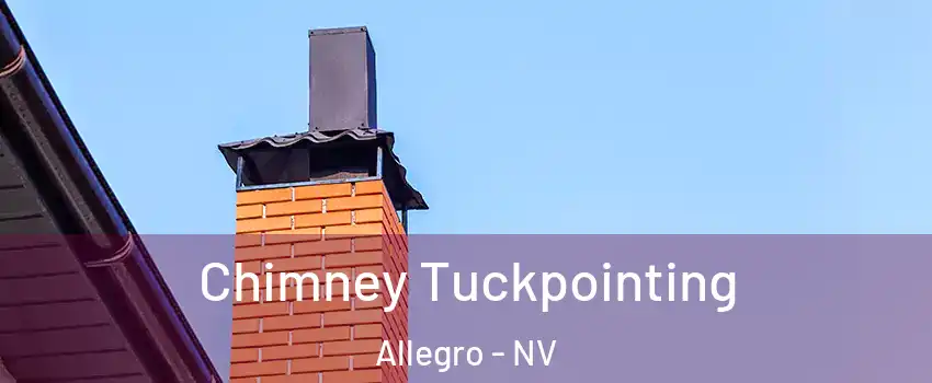 Chimney Tuckpointing Allegro - NV