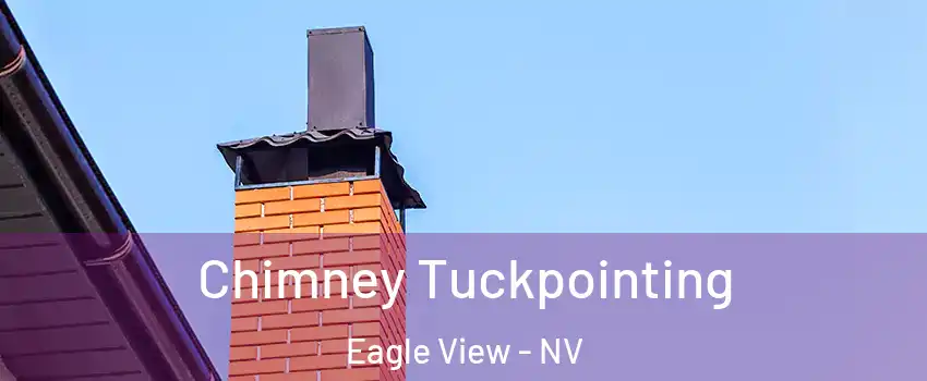 Chimney Tuckpointing Eagle View - NV