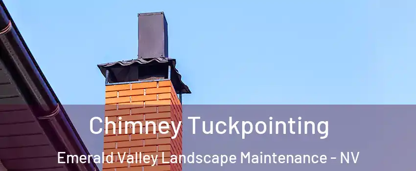 Chimney Tuckpointing Emerald Valley Landscape Maintenance - NV