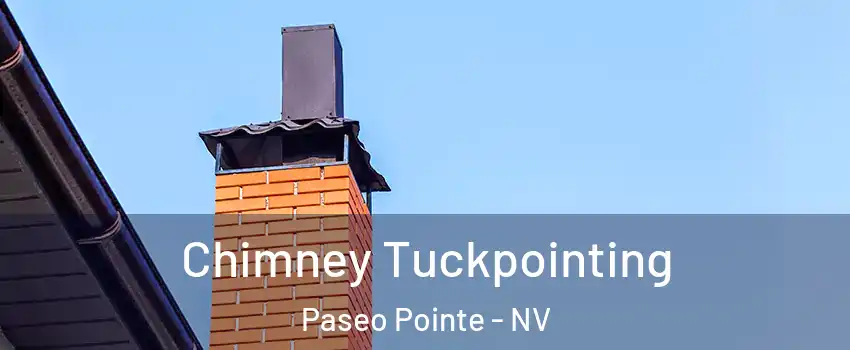 Chimney Tuckpointing Paseo Pointe - NV