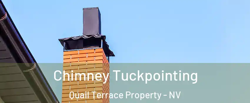 Chimney Tuckpointing Quail Terrace Property - NV