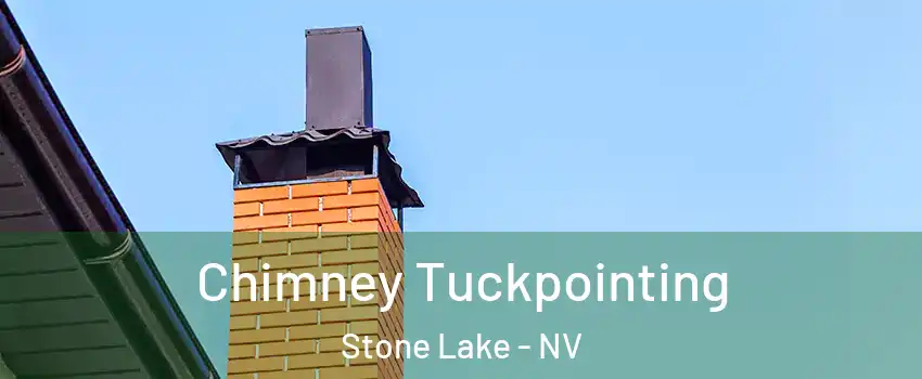Chimney Tuckpointing Stone Lake - NV