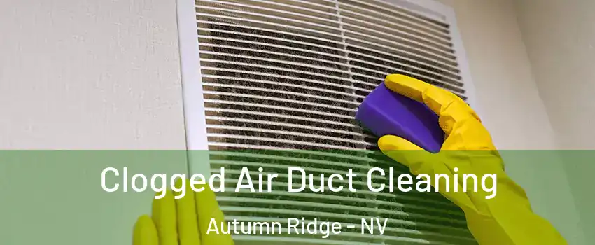 Clogged Air Duct Cleaning Autumn Ridge - NV