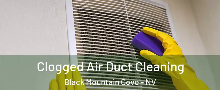 Clogged Air Duct Cleaning Black Mountain Cove - NV
