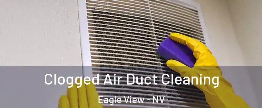 Clogged Air Duct Cleaning Eagle View - NV