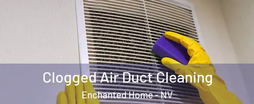 Clogged Air Duct Cleaning Enchanted Home - NV