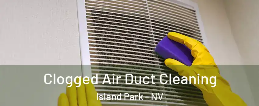 Clogged Air Duct Cleaning Island Park - NV