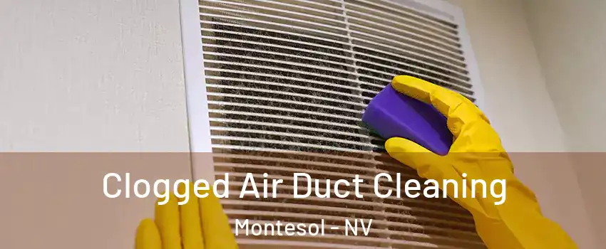 Clogged Air Duct Cleaning Montesol - NV
