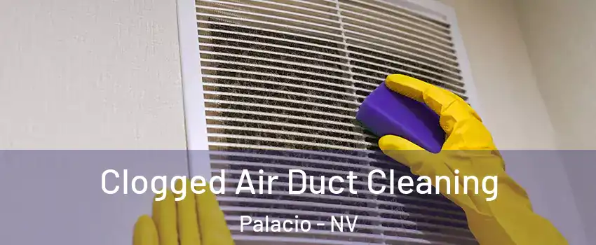 Clogged Air Duct Cleaning Palacio - NV