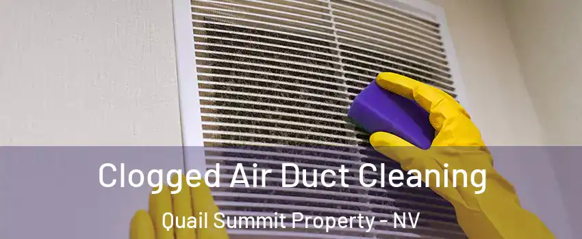 Clogged Air Duct Cleaning Quail Summit Property - NV