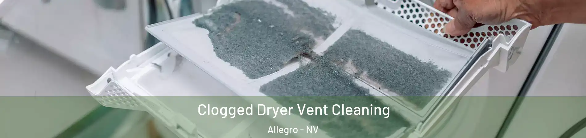 Clogged Dryer Vent Cleaning Allegro - NV