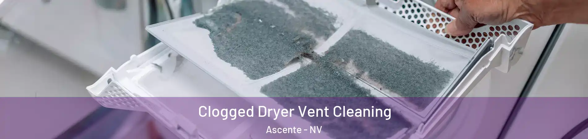 Clogged Dryer Vent Cleaning Ascente - NV