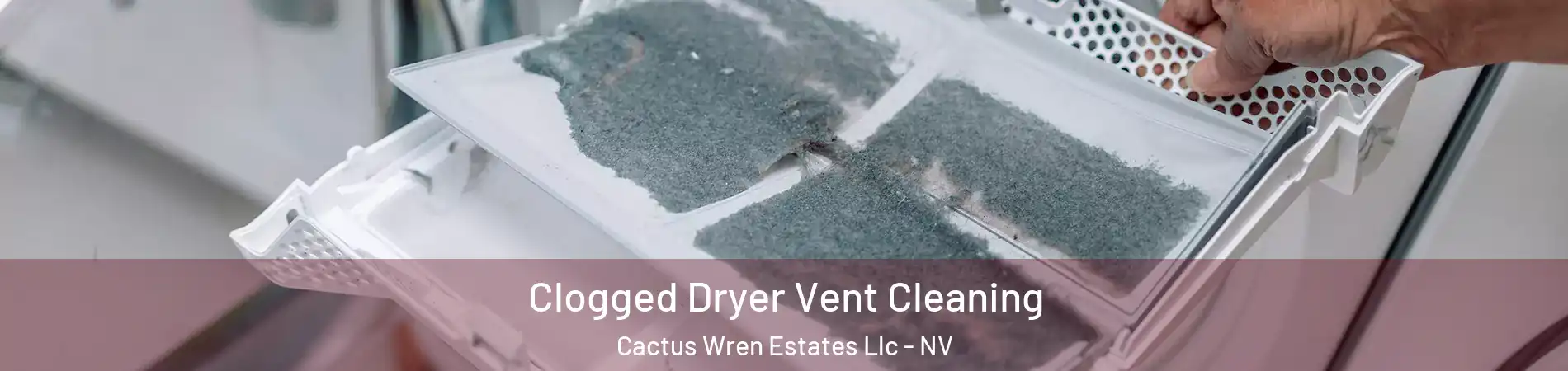 Clogged Dryer Vent Cleaning Cactus Wren Estates Llc - NV