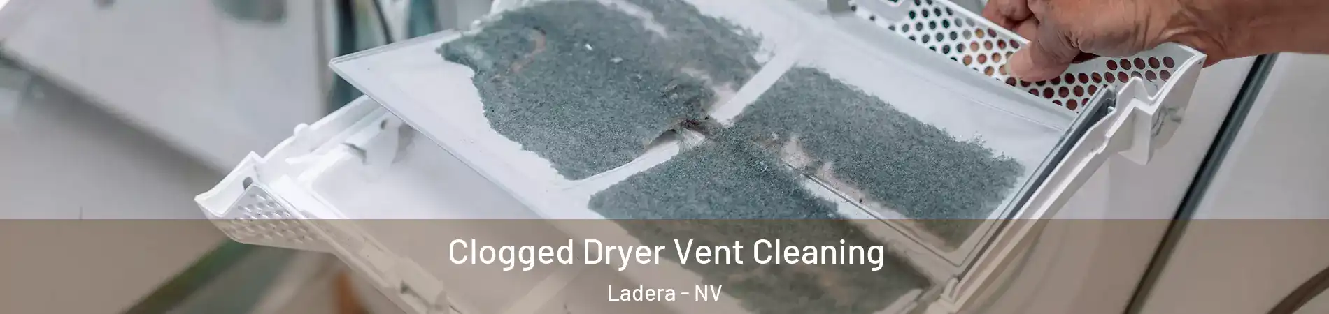 Clogged Dryer Vent Cleaning Ladera - NV