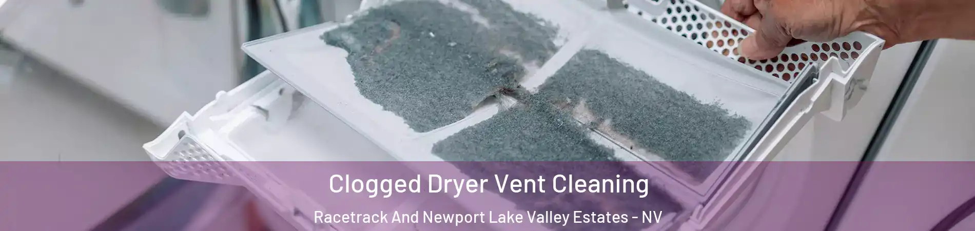 Clogged Dryer Vent Cleaning Racetrack And Newport Lake Valley Estates - NV