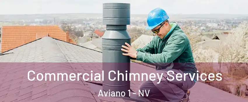 Commercial Chimney Services Aviano 1 - NV