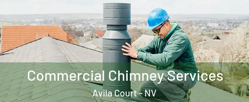Commercial Chimney Services Avila Court - NV