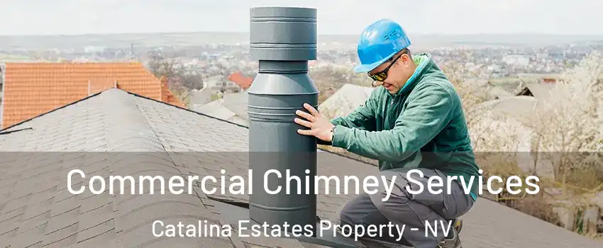 Commercial Chimney Services Catalina Estates Property - NV