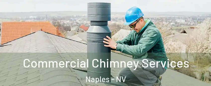 Commercial Chimney Services Naples - NV
