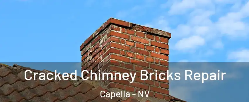 Cracked Chimney Bricks Repair Capella - NV