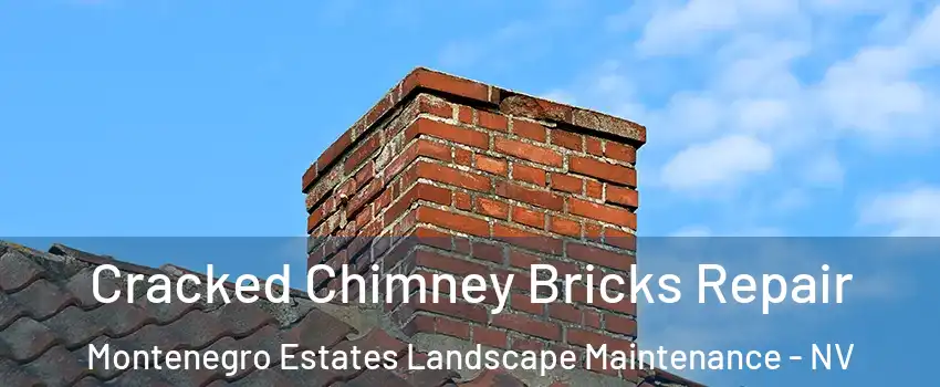 Cracked Chimney Bricks Repair Montenegro Estates Landscape Maintenance - NV