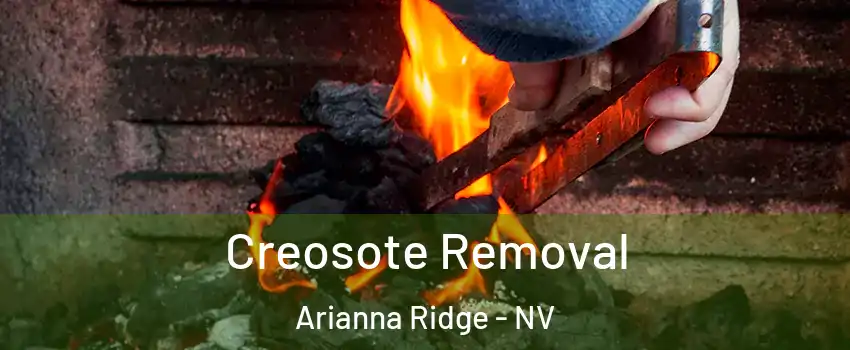 Creosote Removal Arianna Ridge - NV