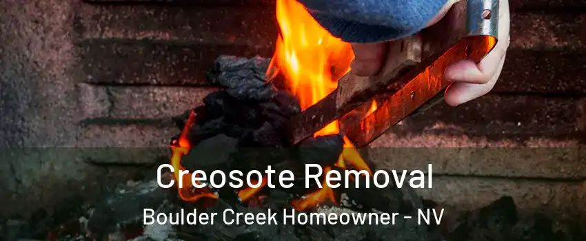Creosote Removal Boulder Creek Homeowner - NV