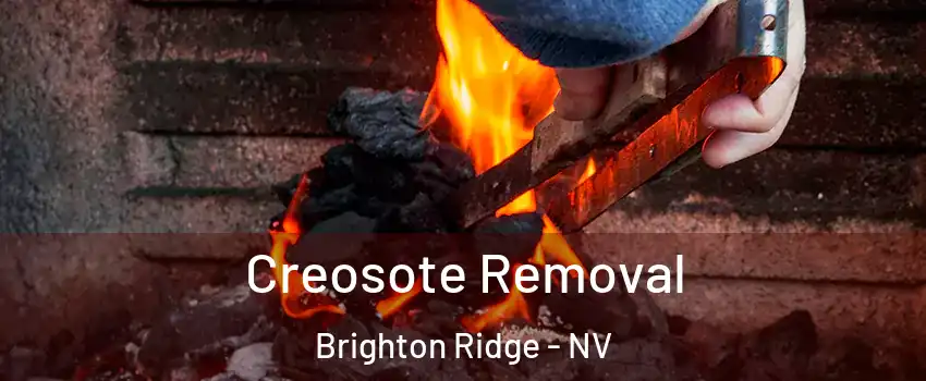 Creosote Removal Brighton Ridge - NV