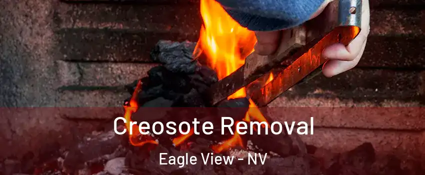 Creosote Removal Eagle View - NV