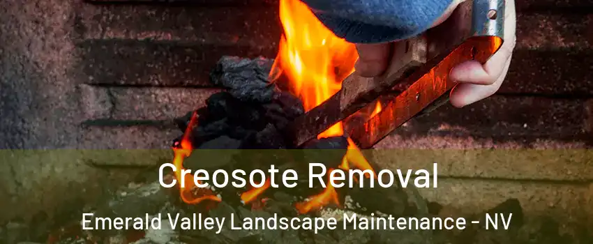 Creosote Removal Emerald Valley Landscape Maintenance - NV