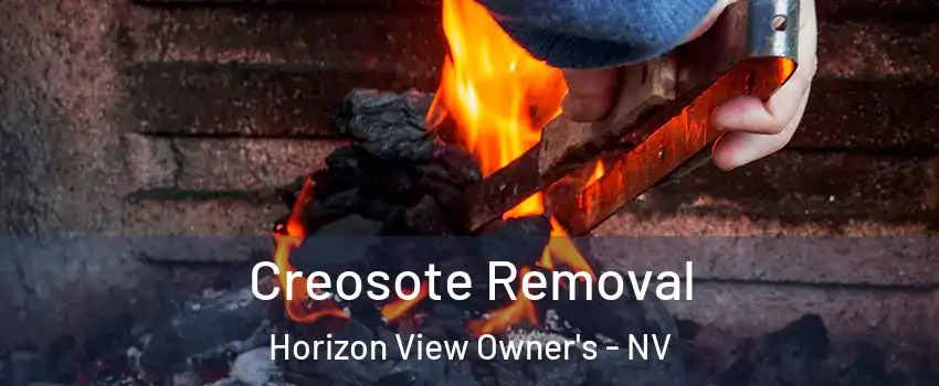 Creosote Removal Horizon View Owner's - NV