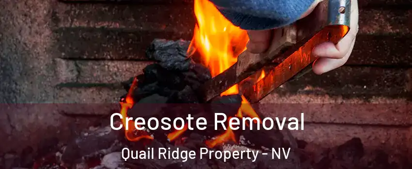 Creosote Removal Quail Ridge Property - NV