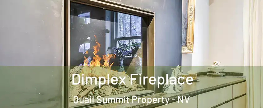 Dimplex Fireplace Quail Summit Property - NV