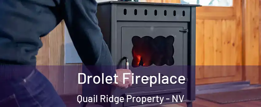 Drolet Fireplace Quail Ridge Property - NV