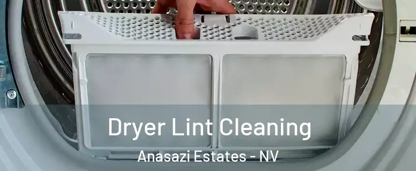 Dryer Lint Cleaning Anasazi Estates - NV