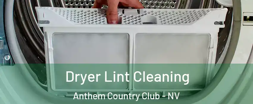 Dryer Lint Cleaning Anthem Country Club - NV