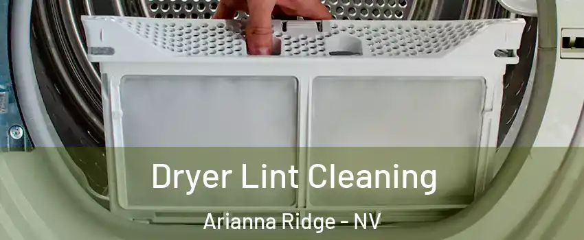 Dryer Lint Cleaning Arianna Ridge - NV