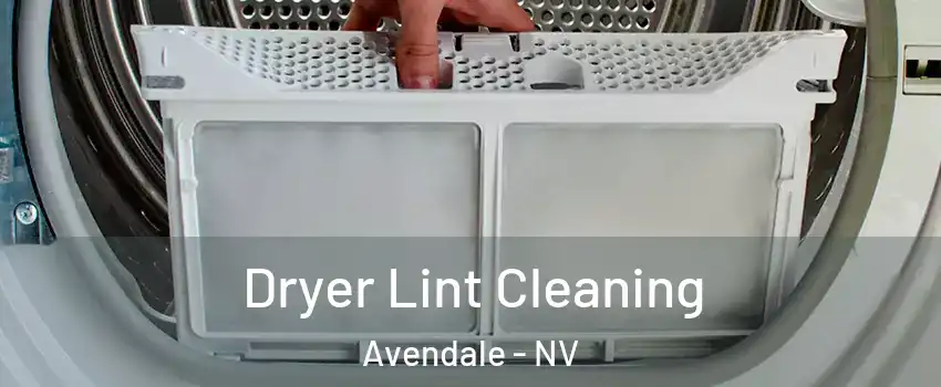 Dryer Lint Cleaning Avendale - NV