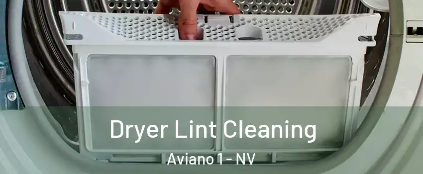 Dryer Lint Cleaning Aviano 1 - NV
