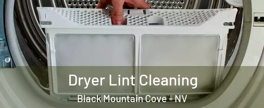 Dryer Lint Cleaning Black Mountain Cove - NV