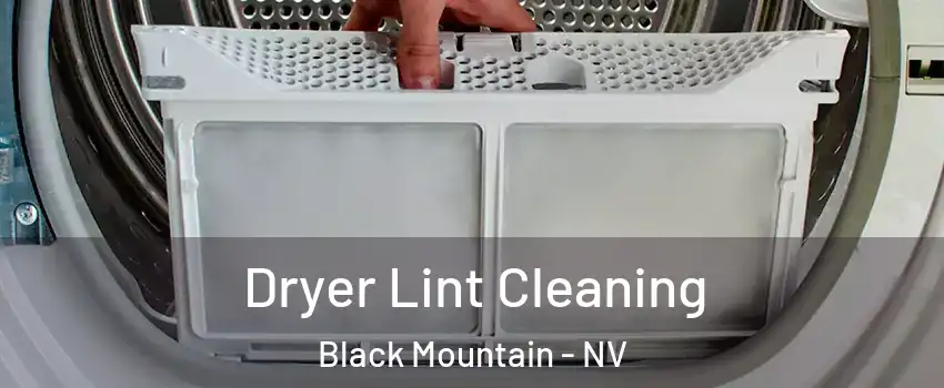 Dryer Lint Cleaning Black Mountain - NV