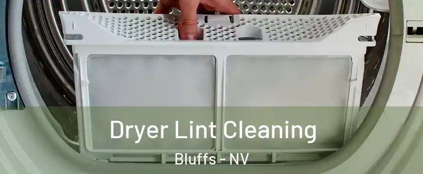 Dryer Lint Cleaning Bluffs - NV
