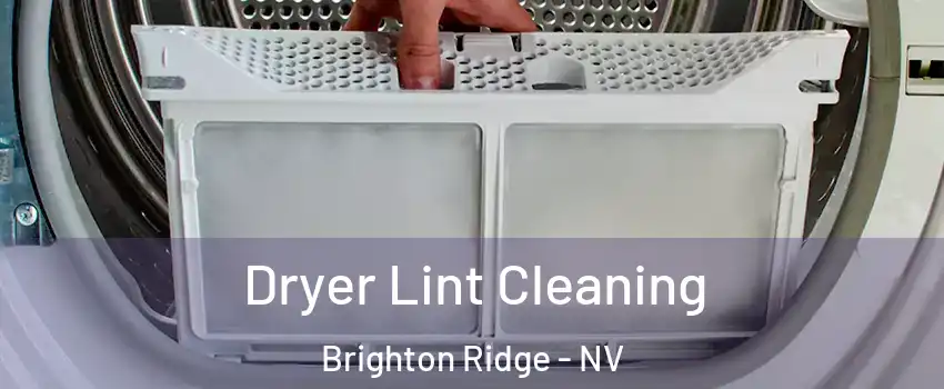 Dryer Lint Cleaning Brighton Ridge - NV