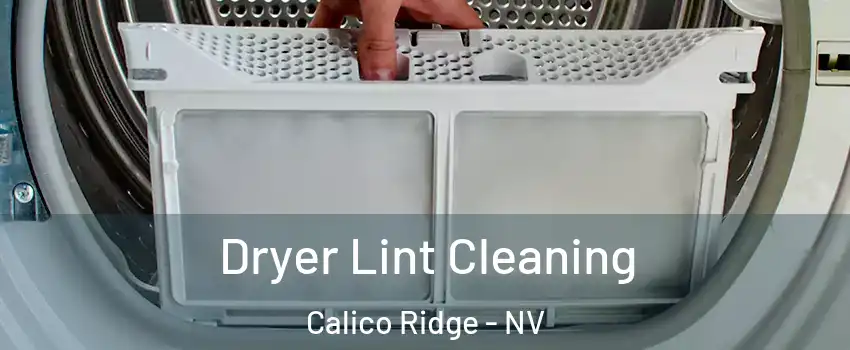 Dryer Lint Cleaning Calico Ridge - NV