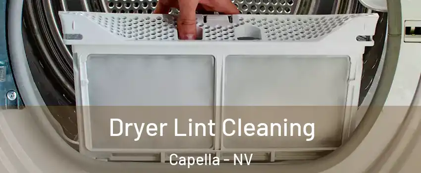 Dryer Lint Cleaning Capella - NV