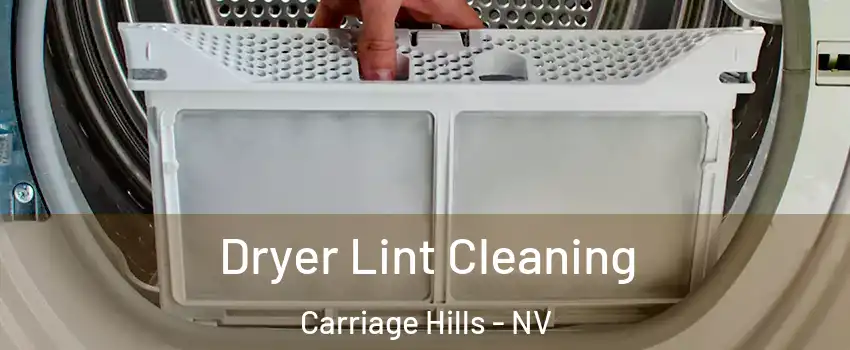 Dryer Lint Cleaning Carriage Hills - NV