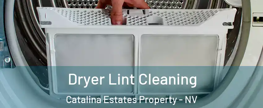 Dryer Lint Cleaning Catalina Estates Property - NV