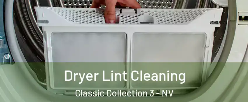 Dryer Lint Cleaning Classic Collection 3 - NV